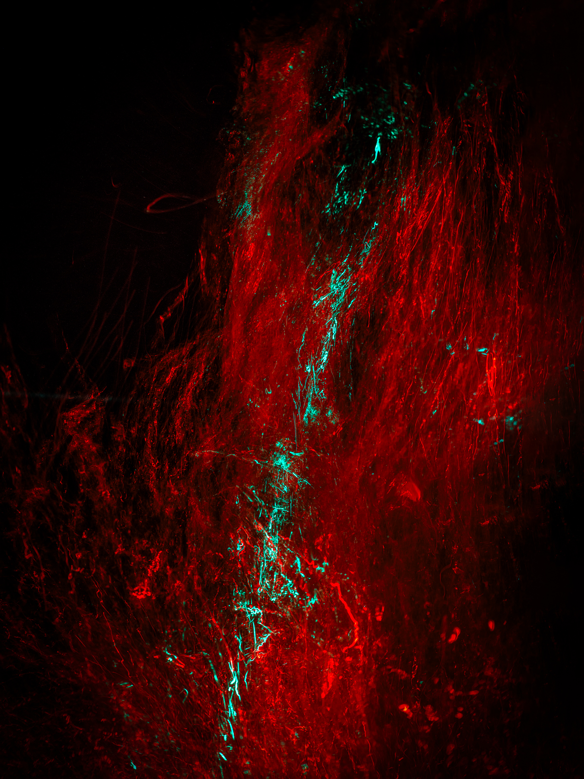 Underwater Art by Alexej Sachov – Blood #19, exhibited at ARTMUC