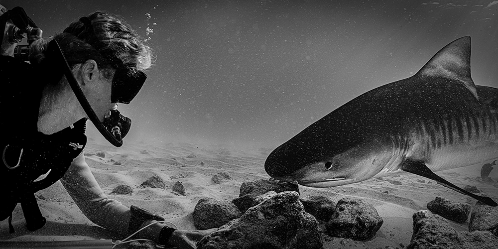 Underwater FineArt photography by Alexej Sachov – Keep the Eye Contact (2022), presented at boot Düsseldorf 2026 (Maritime Art)