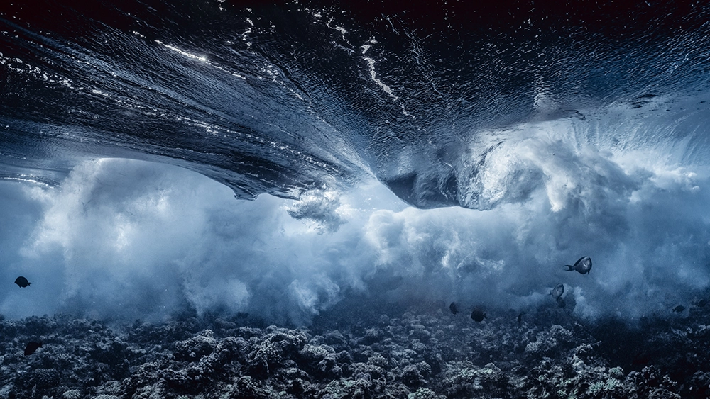 Underwater FineArt photography by Alexej Sachov – Mixed Emotions / Storm (2022), presented at boot Düsseldorf 2026 (Maritime Art / Galeria boot)