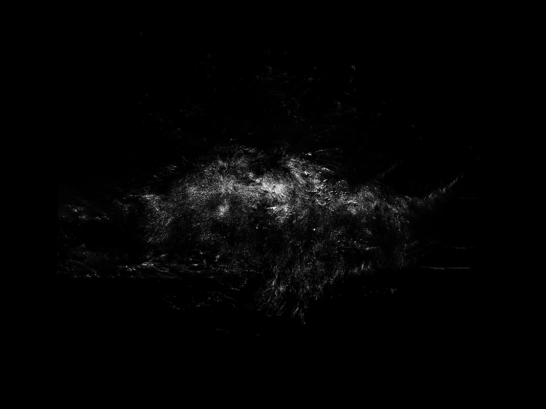 Alexej Sachov, Four Elements #1. Contemporary underwater photograph. Independent exhibition during Paris Photo 2025, near Pompidou.