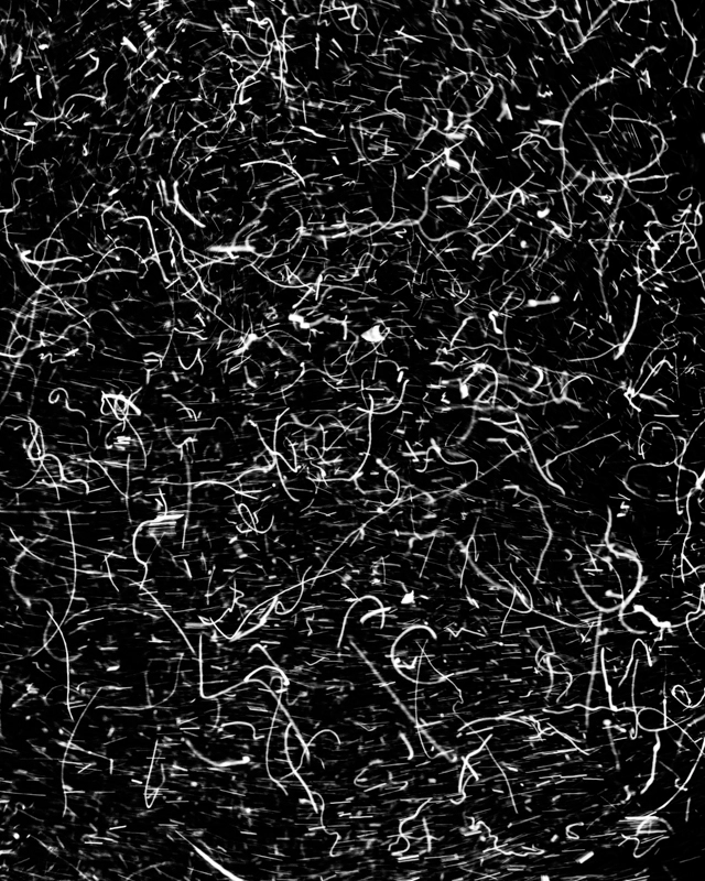 Underwater Fine Art photography by Alexej Sachov – The Code (2022) from The Secret Code of Nature, presented at Artexpo New York 2026 (Solo Booth S311)