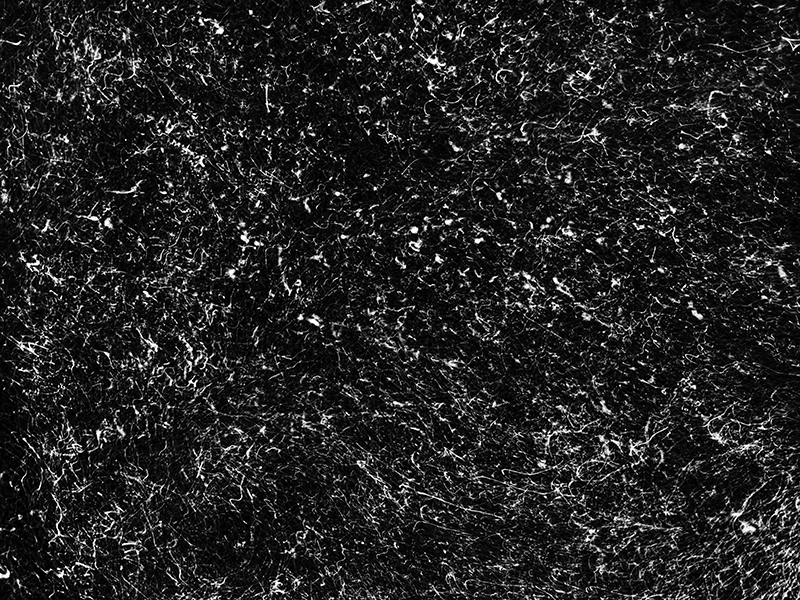 Micro Code (2022) by Alexej Sachov. Experimental photography, long-exposure night dive, The Secret Code of Nature. photo basel/berlin 2026, POSITIONS Berlin Art Fair.