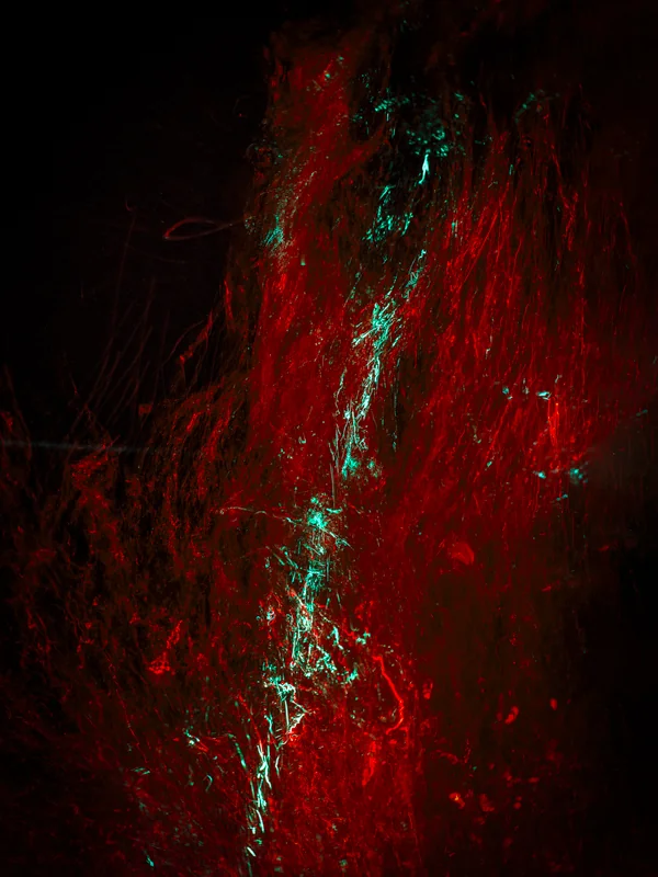 Blood #19 (2023) by Alexej Sachov. Long-exposure night-dive photograph, red light, moving water and bubbles with a laser sight beam. Survival Rituals, Basel Art Center, Basel Art Week 2026.