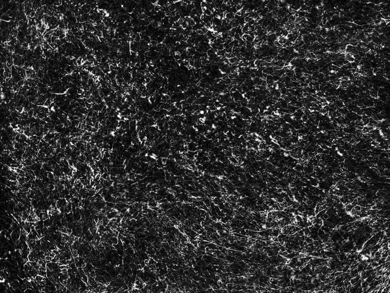 Micro Code (2022) by Alexej Sachov. Long-exposure macro photography on a night dive, The Secret Code of Nature. Survival Rituals, Basel Art Center, Basel Art Week 2026.